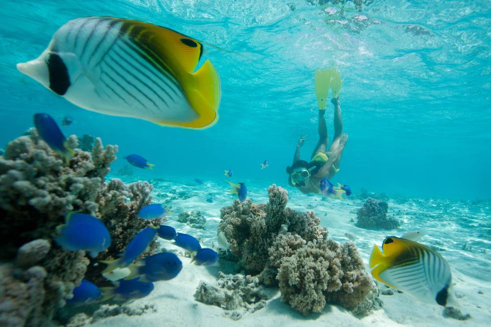 Buceo