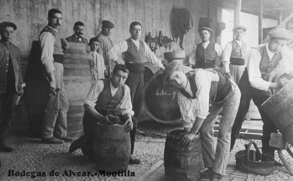 Bodega Alvear