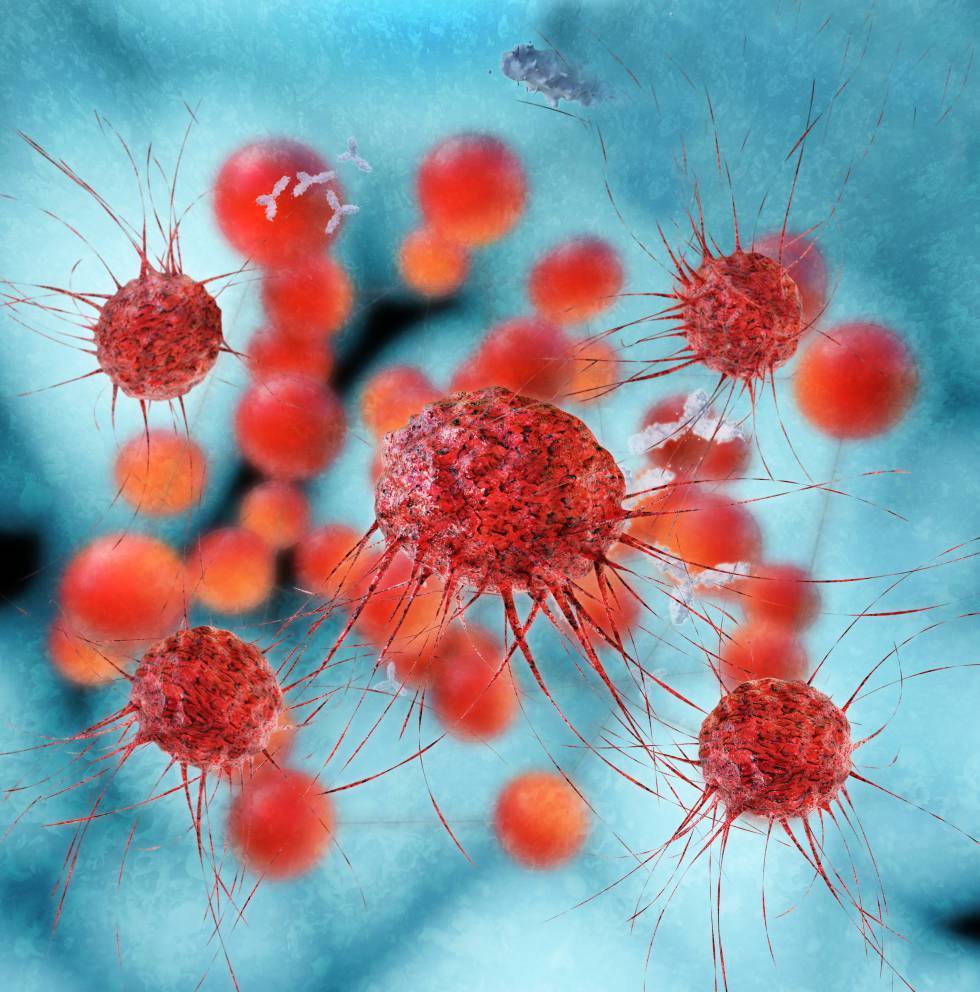 El cáncer: más casos, menos muertes