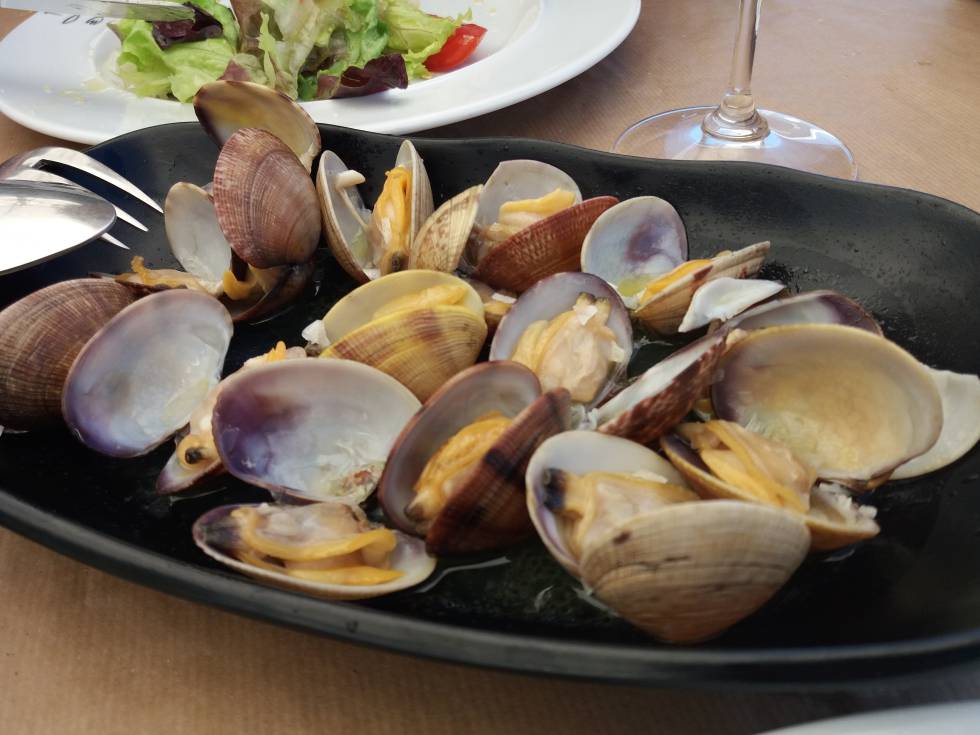 Almejas a la sartén.