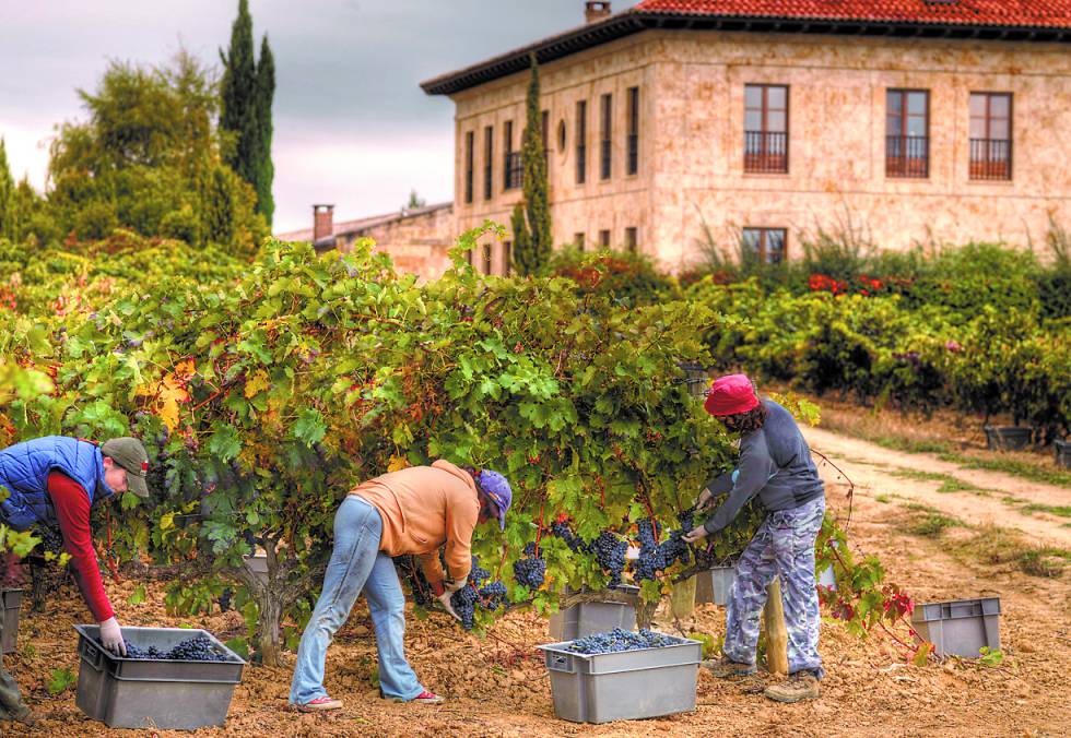 El capital riesgo se alimenta de compañías españolas