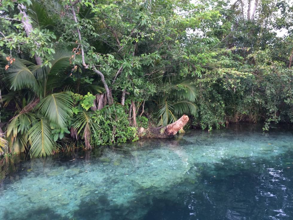 Quintana Roo, México.