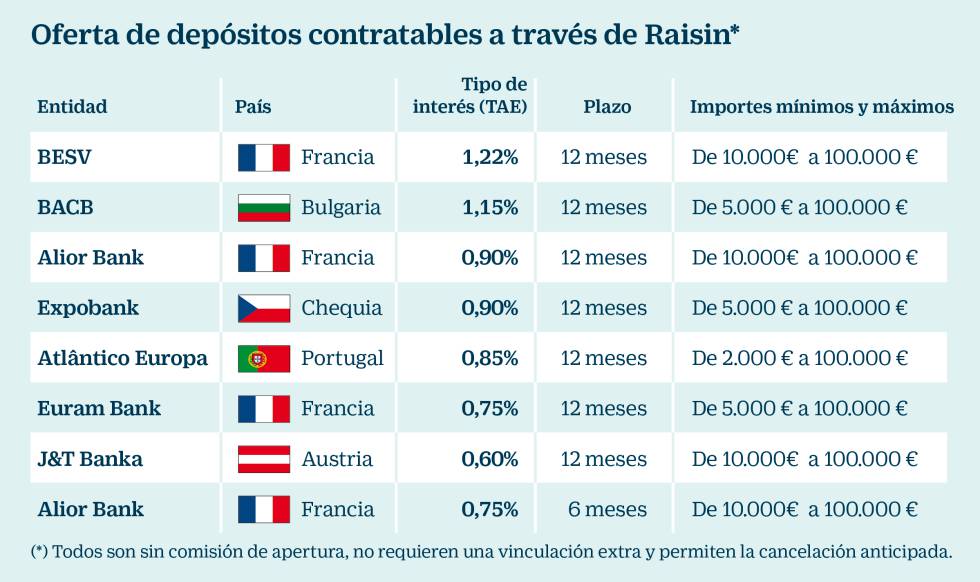 Raisin