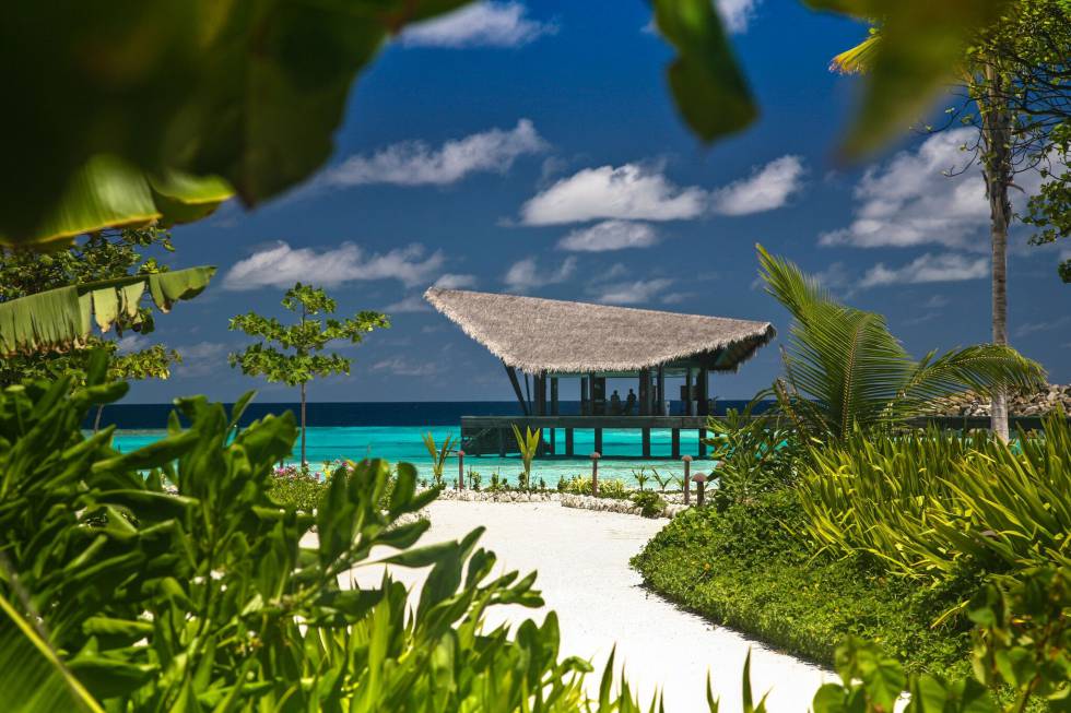 Cinco hoteles donde no echará nada de menos