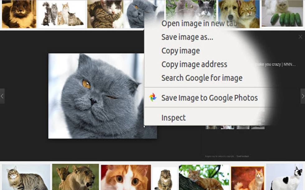Google Fotos