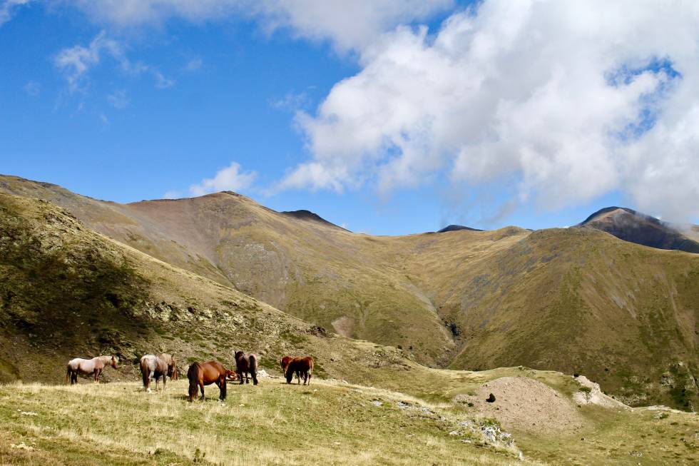 Ruta al pico Puigmal (2.910 m) desde el valle de Núria.