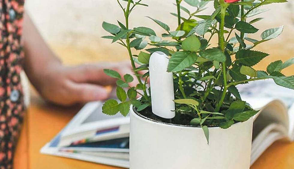 Xiaomi Smart Plant
