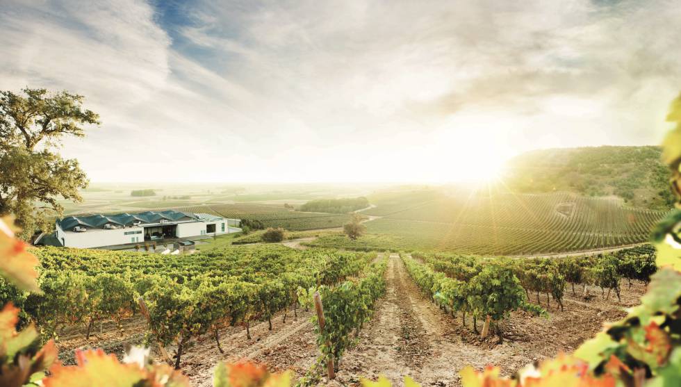 Bodegas Cepa 21