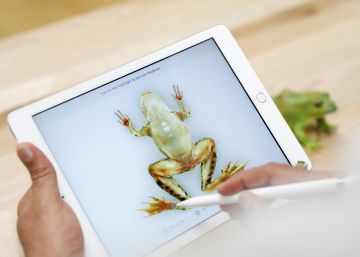 El nuevo iPad será muy difícil de reparar, así son sus entrañas en vídeo