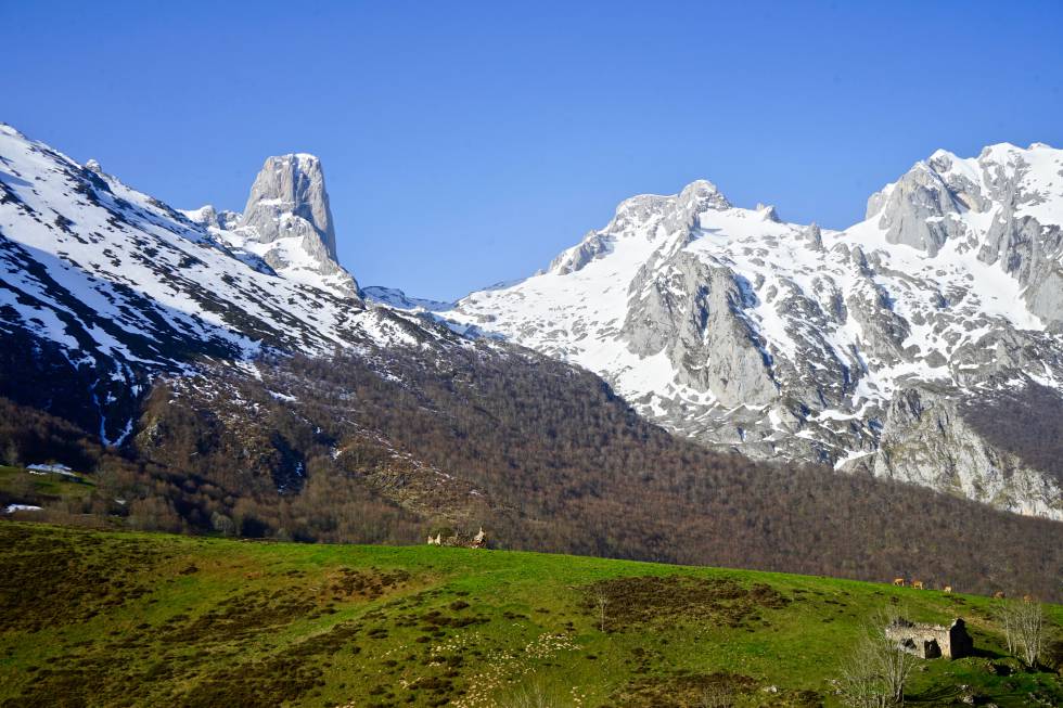 Naranjo de Bulnes