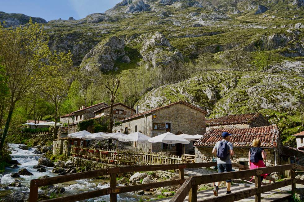 Bulnes