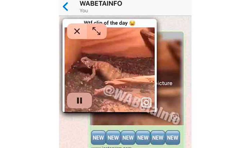 WhatsApp Pip
