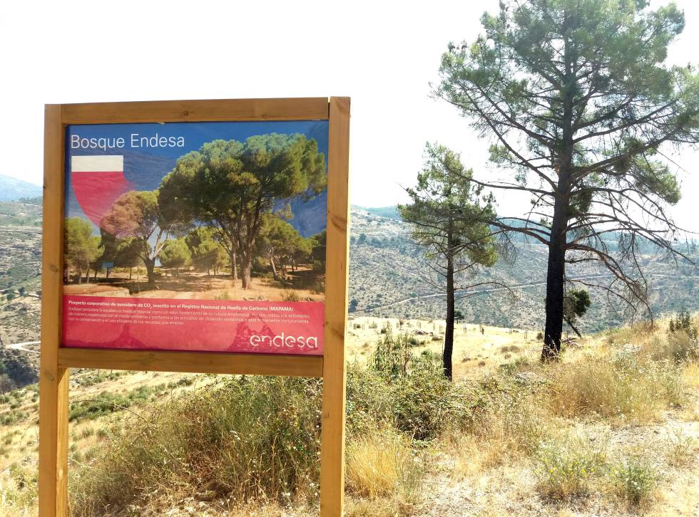 Bosque Endesa