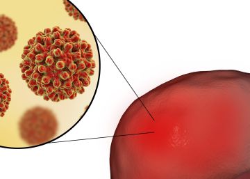 La hepatitis C más cerca de erradicarse