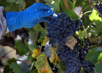 Al sector del vino se le atragantan las redes sociales