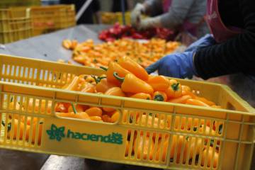 HaciendasBio