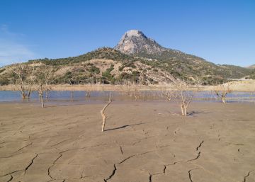 Los beneficios para las empresas de alertar sobre los riesgos del clima