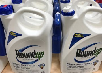 El herbicida Roundup de Monsanto, que contiene glifosato.