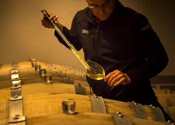 Ossian Vides y Vinos, la máxima expresión del verdejo