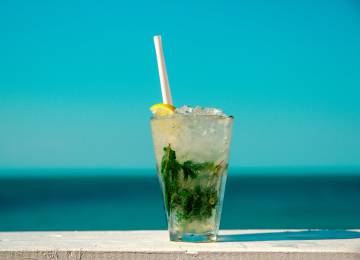 Mojito