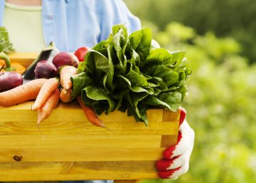 Las mujeres rurales sí emprenden más que los hombres