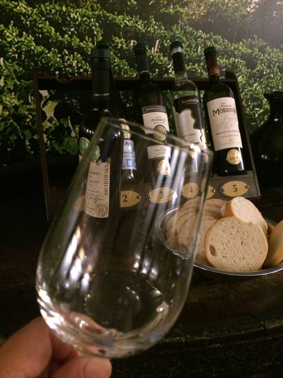 De vinos por Moravia,
en el país de la cerveza