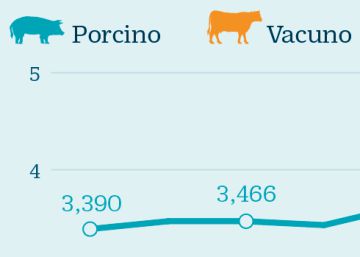 Meat Attraction