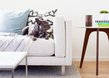 Amazon lanzará nuevos dispositivos con Alexa, incluso un microondas
