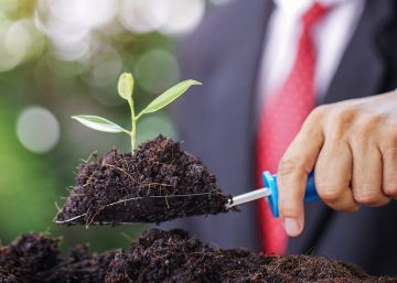 Bankia se suma al movimiento verde con un fondo sostenible Bankia se suma al movimiento verde con un fondo sostenible