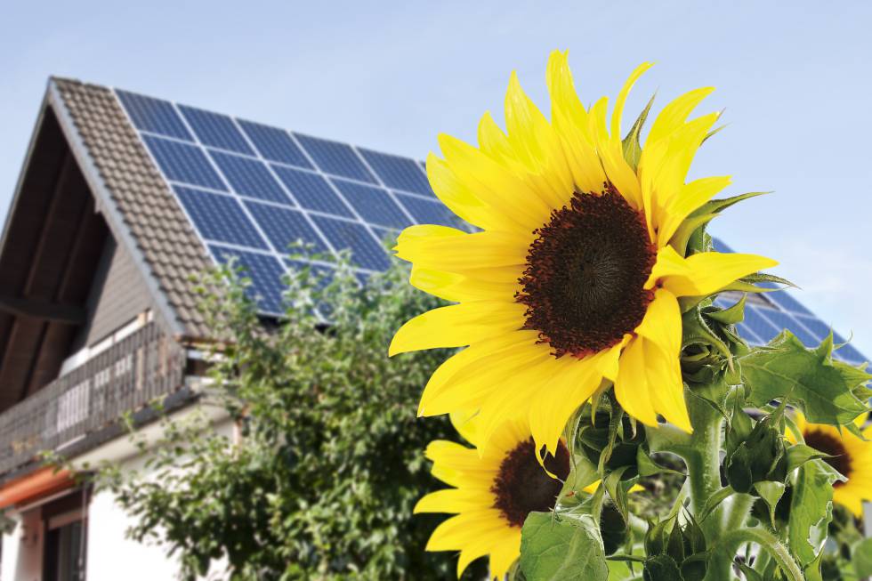 El futuro solar: sin primas, con
autoconsumo y PPA