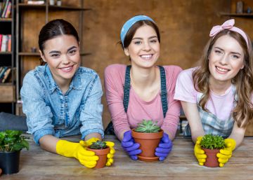El Gobierno aprueba las bases de más ayudas al emprendimiento femenino y rural