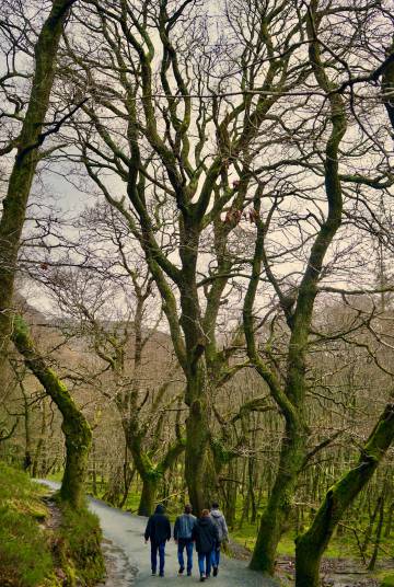 Wicklow