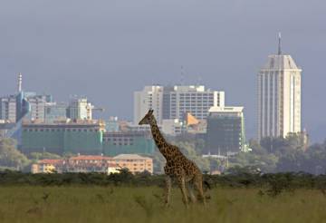 Jirafa en Nairobi