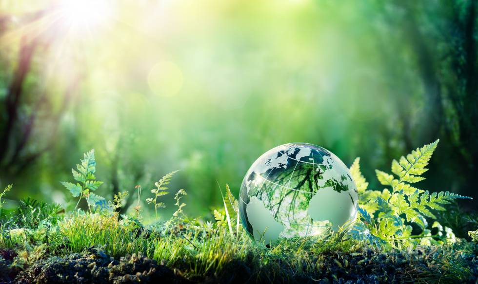 La respuesta empresarial al cambio climático