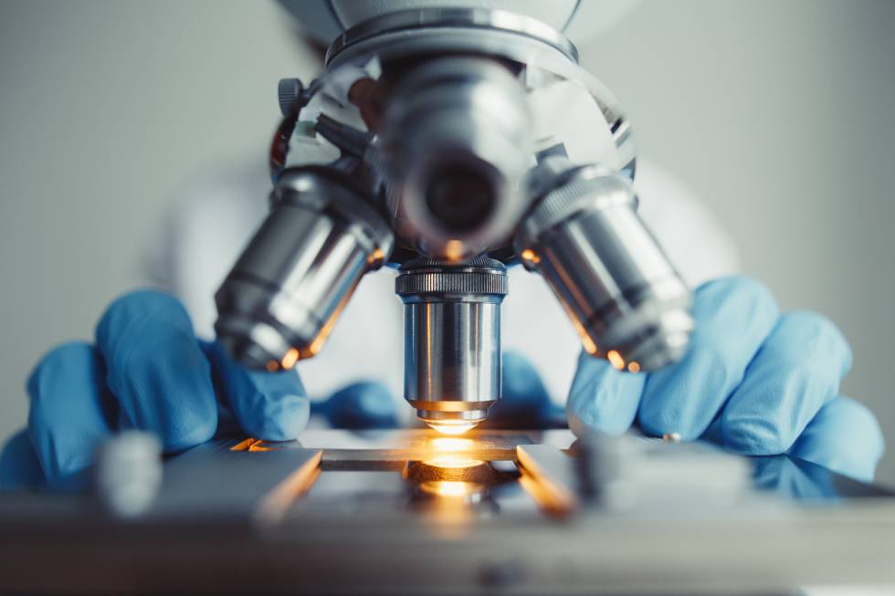 Oncología e inmunología tiran del negocio sanitario