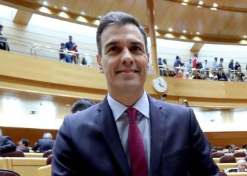 El presidente del Gobierno, Pedro Sánchez, durante la sesión de control al Gobierno en el Senado.