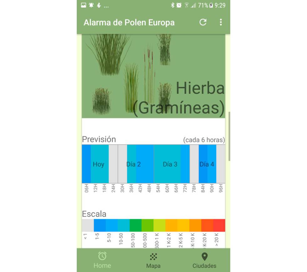 Alergia Polen
