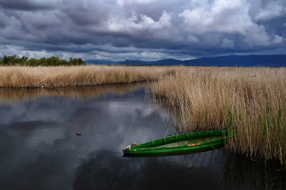 Las Tablas de Daimiel, el gran humedal de la estepa manchega