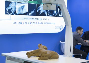 Las mascotas mueven 1.200 millones en España, el quinto mercado europeo