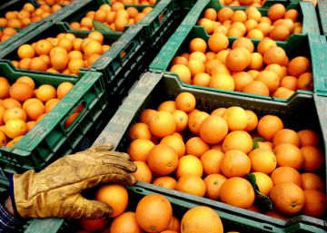 La empresa murciana que surte de frutas a Walmart y El Corte Inglés y que planea doblar ingresos hasta 2025