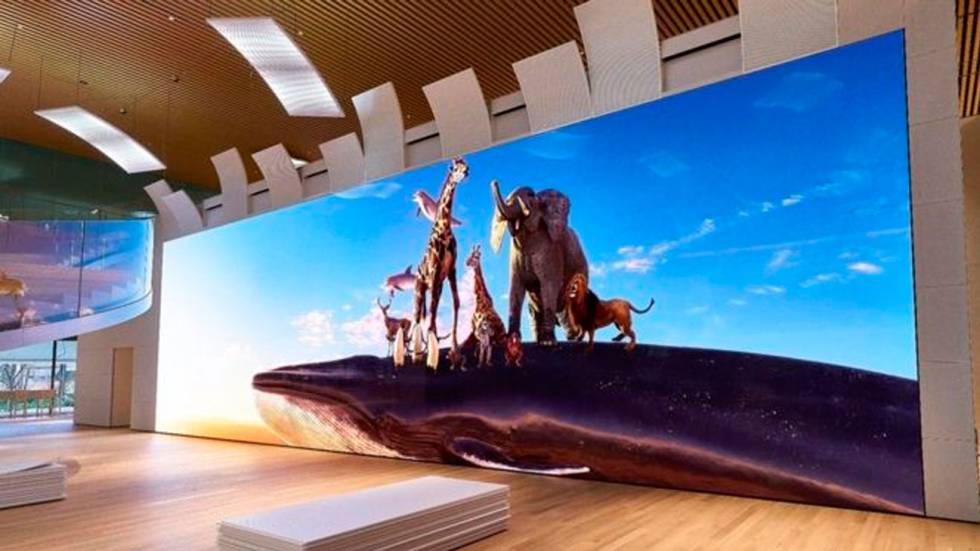 Pantalla Sony