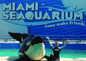 El Miami Seaquarium de Parques Reunidos