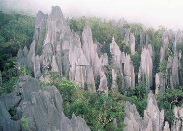 Panorámica de los Pináculos, las formaciones rocosas de hasta 45 m que emergen de la selva en el Parque Nacional de Gunung Mulu, en Borneo.