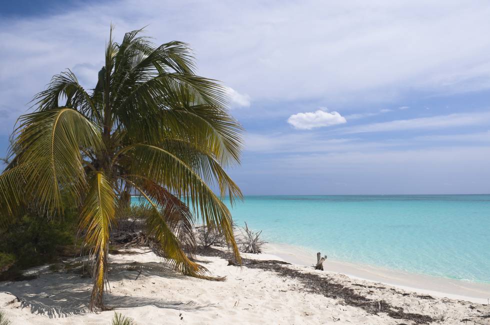 Sirena (Cuba)
