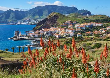 Madeira, la isla donde todos los días son verdes