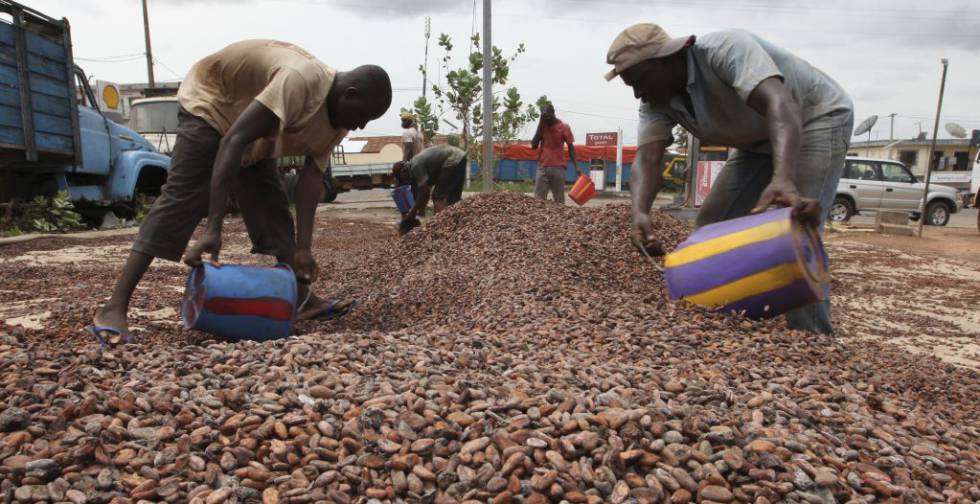 El Nuevo C Rtel Africano Del Cacao Ganar A M S Procesando El Grano