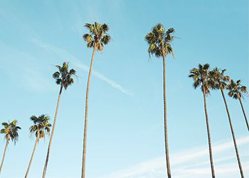 ¿Cómo preparamos nuestras inversiones para el verano? ¿Cómo preparamos nuestras inversiones para el verano?