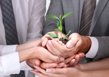 Las dificultades de las pymes en el conocimiento ambiental