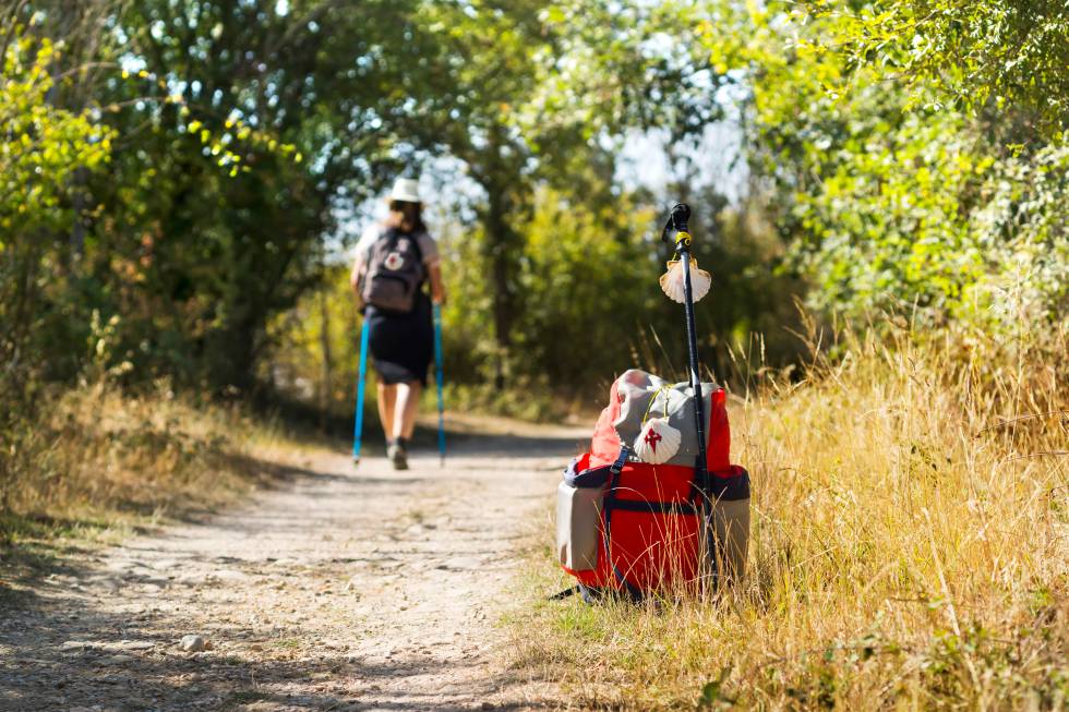 Camino de Santiago