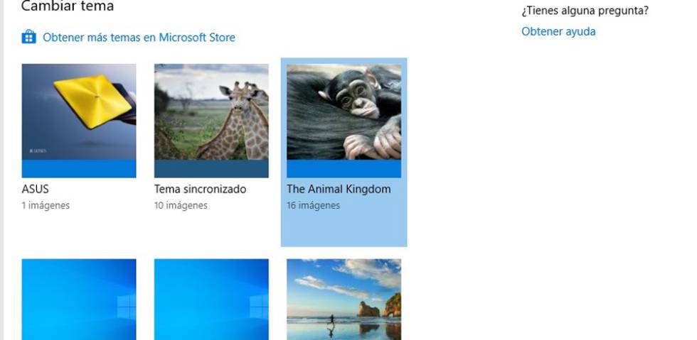 Reino animal, nuevo tema para Windows 10 que se descarga gratis